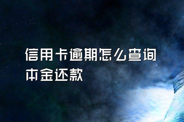 信用卡逾期怎么查询本金还款