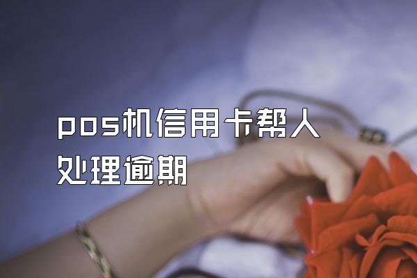 pos机信用卡帮人处理逾期