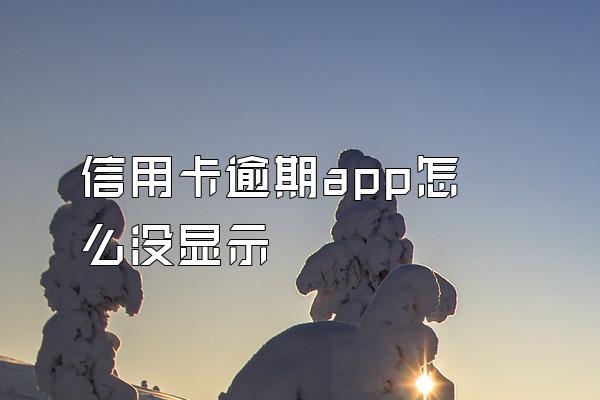 信用卡逾期app怎么没显示