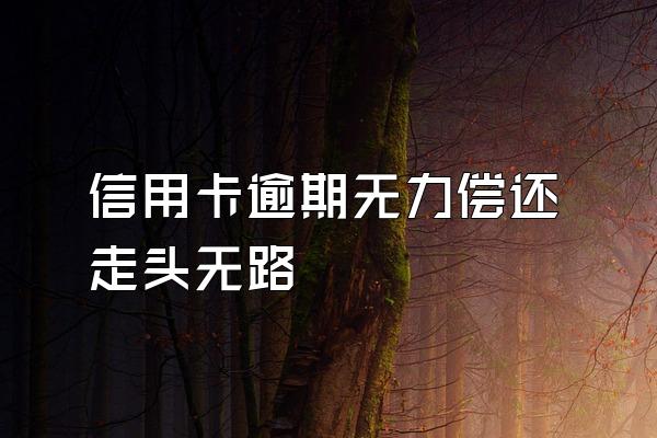 信用卡逾期无力偿还走头无路