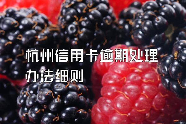 杭州信用卡逾期处理办法细则