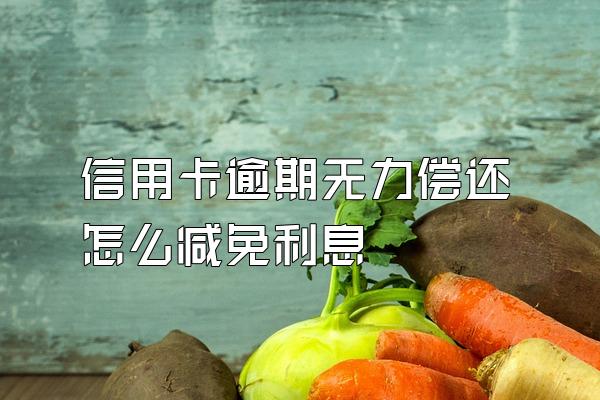 信用卡逾期无力偿还怎么减免利息