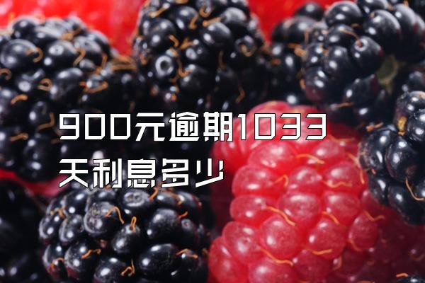 900元逾期1033天利息多少