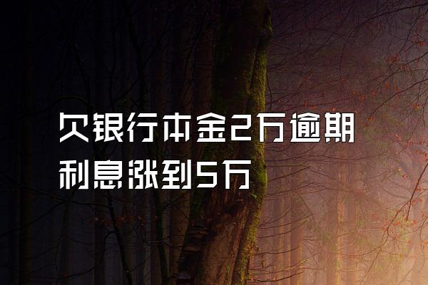 欠银行本金2万逾期利息涨到5万