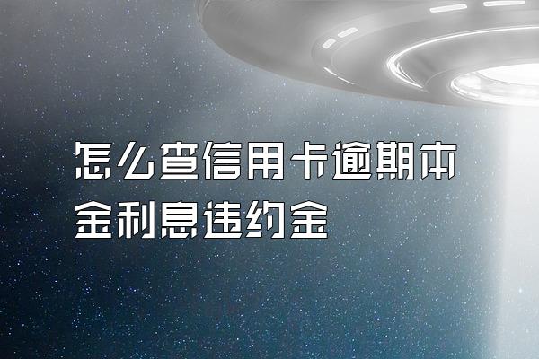 怎么查信用卡逾期本金利息违约金