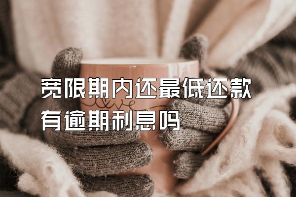 宽限期内还最低还款有逾期利息吗