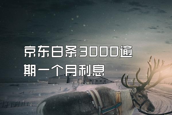 京东白条3000逾期一个月利息