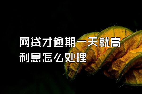 网贷才逾期一天就高利息怎么处理