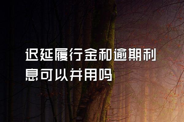 迟延履行金和逾期利息可以并用吗