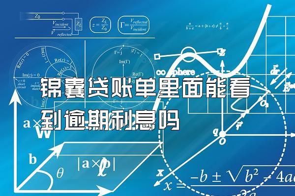 锦囊贷账单里面能看到逾期利息吗