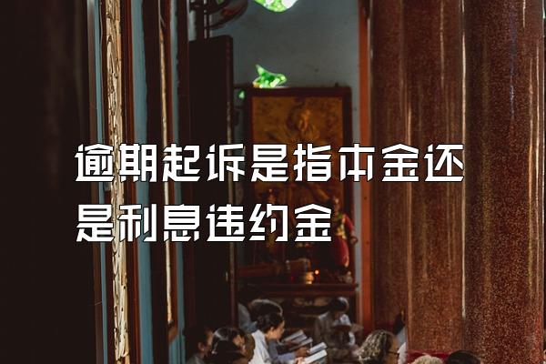 逾期起诉是指本金还是利息违约金