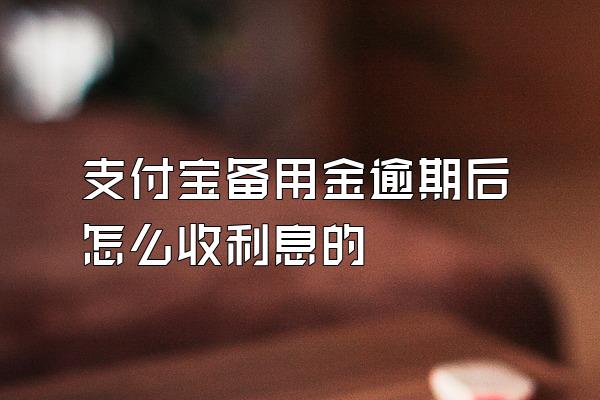 支付宝备用金逾期后怎么收利息的