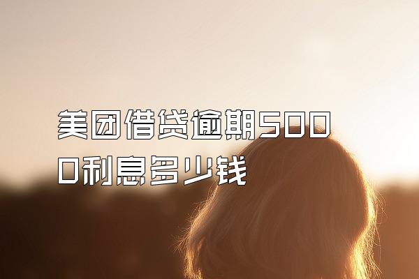 美团借贷逾期5000利息多少钱