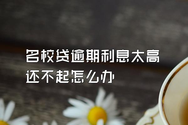 名校贷逾期利息太高还不起怎么办