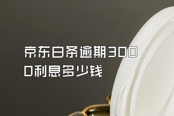 京东白条逾期3000利息多少钱