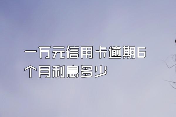 一万元信用卡逾期6个月利息多少