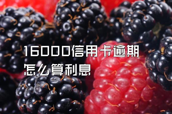 16000信用卡逾期怎么算利息