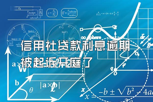 信用社贷款利息逾期被起诉开庭了