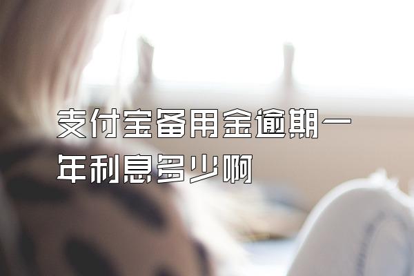 支付宝备用金逾期一年利息多少啊