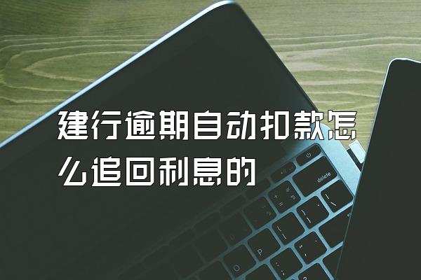 建行逾期自动扣款怎么追回利息的