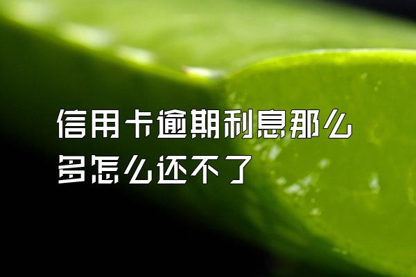信用卡逾期利息那么多怎么还不了