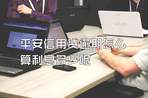 平安信用贷逾期怎么算利息多少呢