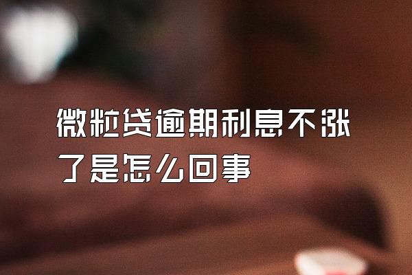 微粒贷逾期利息不涨了是怎么回事