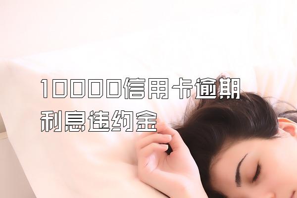 10000信用卡逾期利息违约金