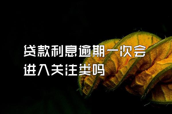 贷款利息逾期一次会进入关注类吗