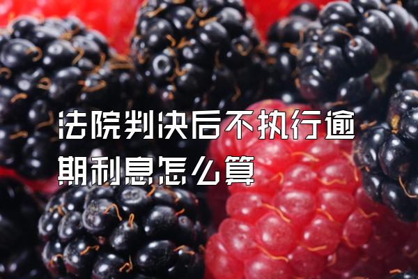 法院判决后不执行逾期利息怎么算