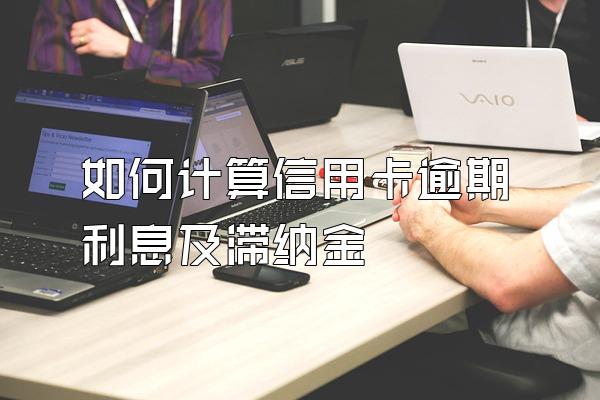 如何计算信用卡逾期利息及滞纳金