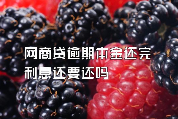 网商贷逾期本金还完利息还要还吗