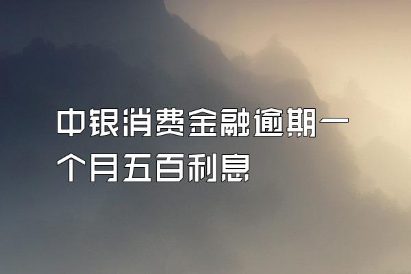 中银消费金融逾期一个月五百利息