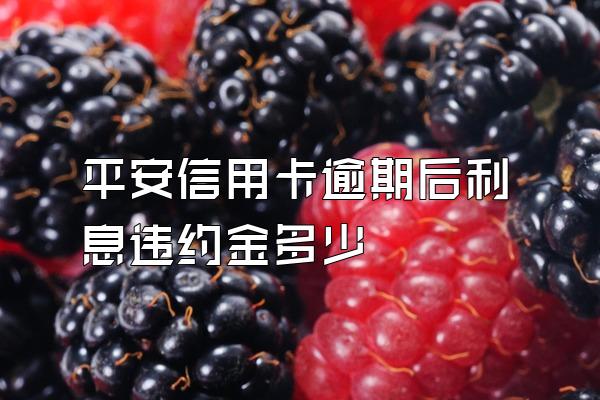 平安信用卡逾期后利息违约金多少