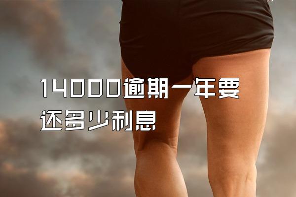 14000逾期一年要还多少利息