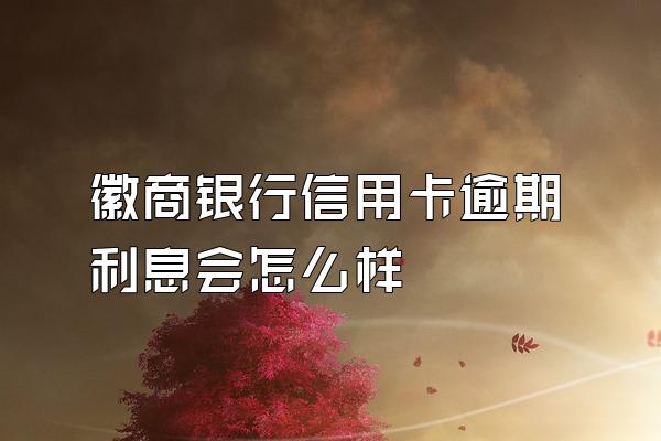 徽商银行信用卡逾期利息会怎么样