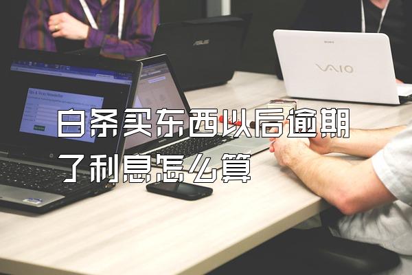 白条买东西以后逾期了利息怎么算