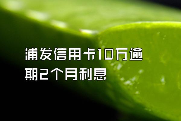 浦发信用卡10万逾期2个月利息