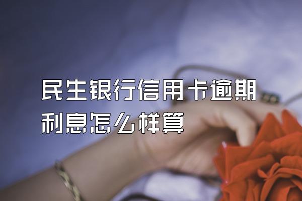 民生银行信用卡逾期利息怎么样算