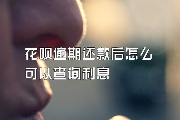 花呗逾期还款后怎么可以查询利息