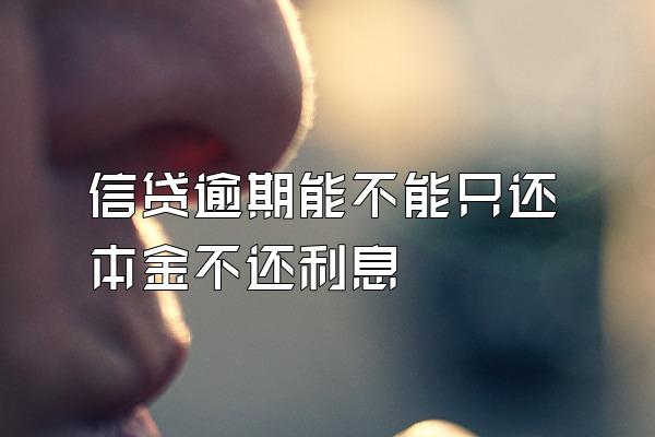 信贷逾期能不能只还本金不还利息