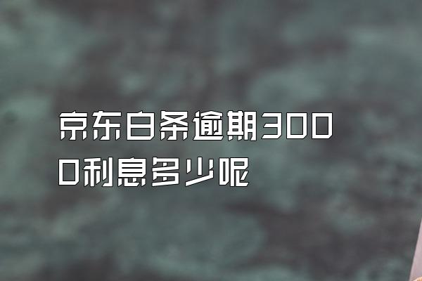 京东白条逾期3000利息多少呢