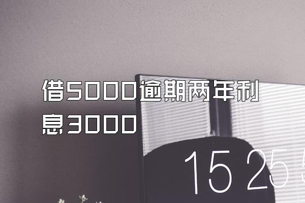 借5000逾期两年利息3000