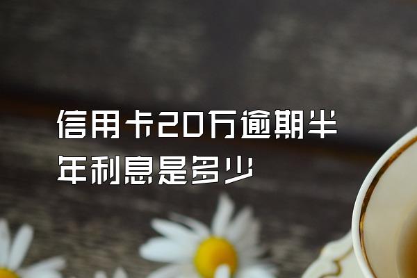 信用卡20万逾期半年利息是多少