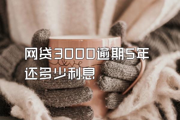 网贷3000逾期5年还多少利息
