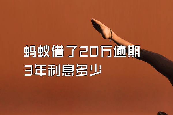 蚂蚁借了20万逾期3年利息多少