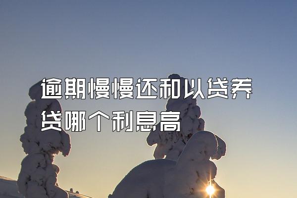 逾期慢慢还和以贷养贷哪个利息高