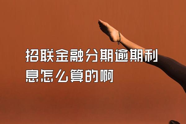 招联金融分期逾期利息怎么算的啊