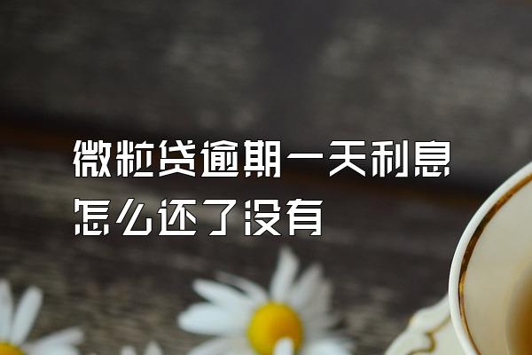 微粒贷逾期一天利息怎么还了没有