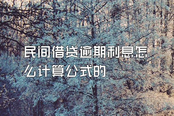 民间借贷逾期利息怎么计算公式的